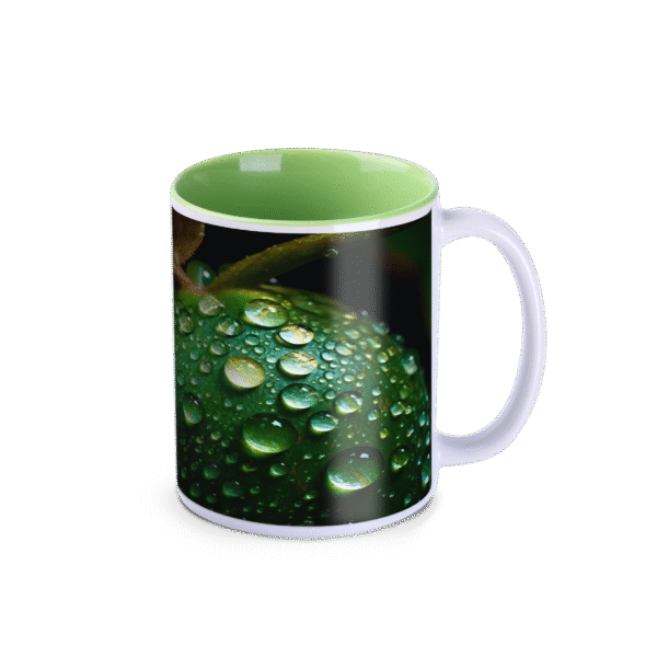 Tomek Art 300 white/light green