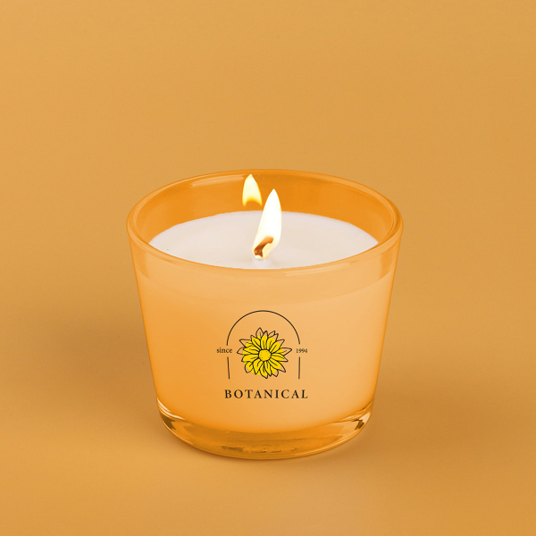 Elipse Soy Wax 120 colorless