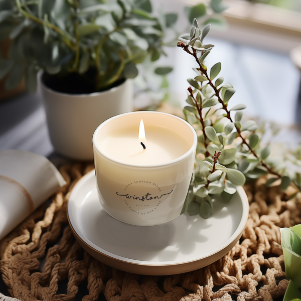 Finesse Soy Wax 153 white