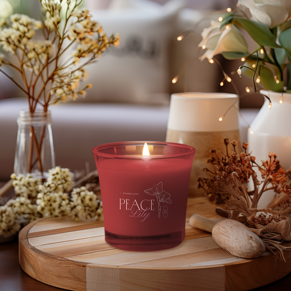 Ray Soy Wax 220 colorless